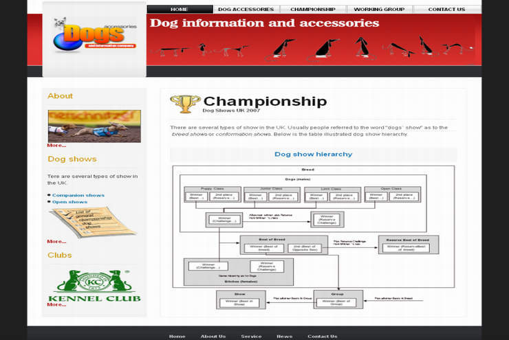 Web page Championship